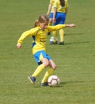 DSC05500