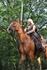 equiscot 1339