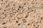 240509A-093322-00592