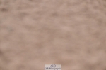 260414-190136-00591