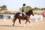 SBM_01663