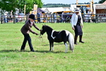 SBM_03492