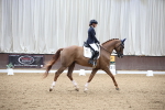 SBM_002909