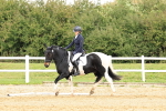 SBM_003554