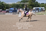 BPP_4313
