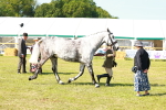 SBM_11818