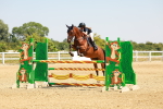 SBM_001684