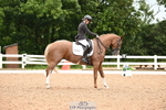 113-Ruby.Gumbley-Nova's.Golden.Dream portfolio