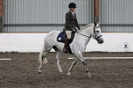 CAbin Dressage 5th july 2025 portfolio