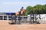 BPP_1686