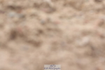 240706A-170503-04558