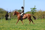3E7A9988