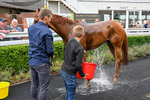 170826-Race 5-Our Absent Friends-5562