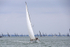 190803 TRAMP OF AIRLIE GBR7055T 1Y3A7752