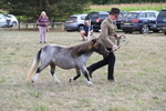 WJ6_6980