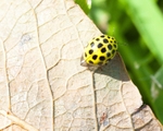 20110820-IMG_6290