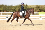 SBM_006289
