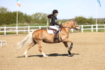 SBM_000993