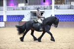 SBM_6546