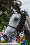 250726-Race 6-Likealot-1259