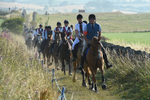 Stichill Hume and Ednam Rideout 2026 portfolio