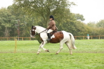 S69 - Show Cob Ridden portfolio