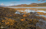 Mawddach Estuary & Barmouth bridge