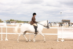SBM_16540