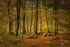 In the Woods