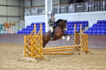 SBM_003038