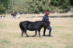 WJ6_4387