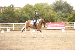 SBM_001039