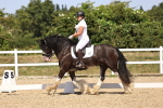 SBM_012276