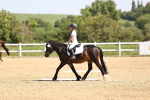 SBM_008231