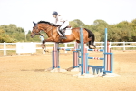 SBM_001651