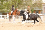 SBM_15671