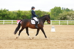 SBM_006590