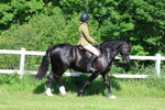 3E7A6201