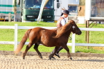 SBM_07989