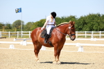 SBM_011819