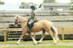 SBM_62593