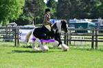 SBM_09317