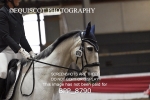 BPP_8790