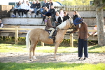 SBM_35748