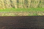 Trees and Ploughed Field Pentney