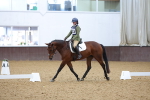 SBM_003829