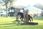 SBM_37314