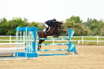 SBM_000976