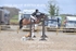 BPP_4915