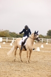 SBM_002098